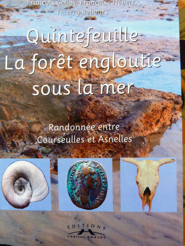 Quintefeuille