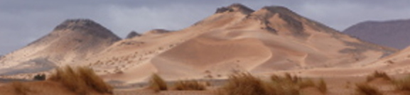 desert