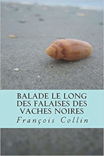 nouveau livre