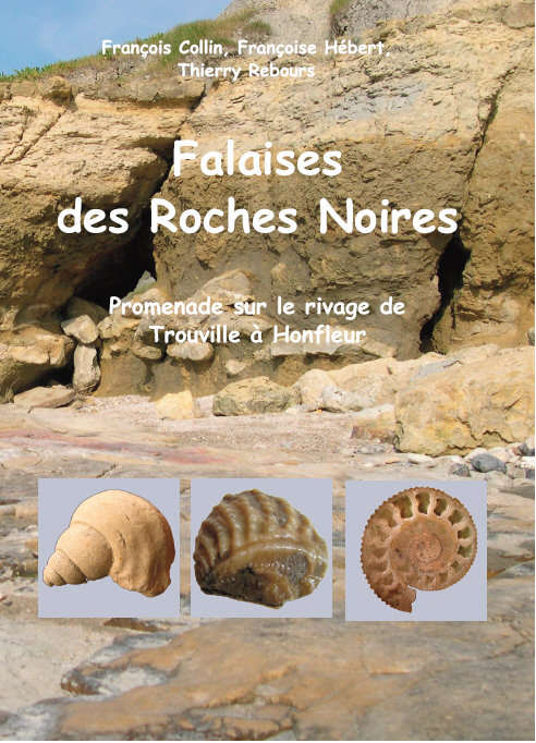 Les Falaises des Roches Noires